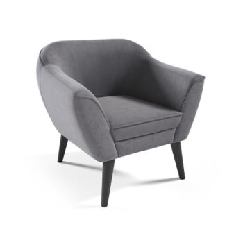 Kreslo TYP197
